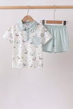 Green Duck set