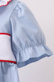 Blue Apple Embroidered Dress