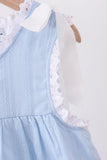 Blue Jacquard Lace Dress